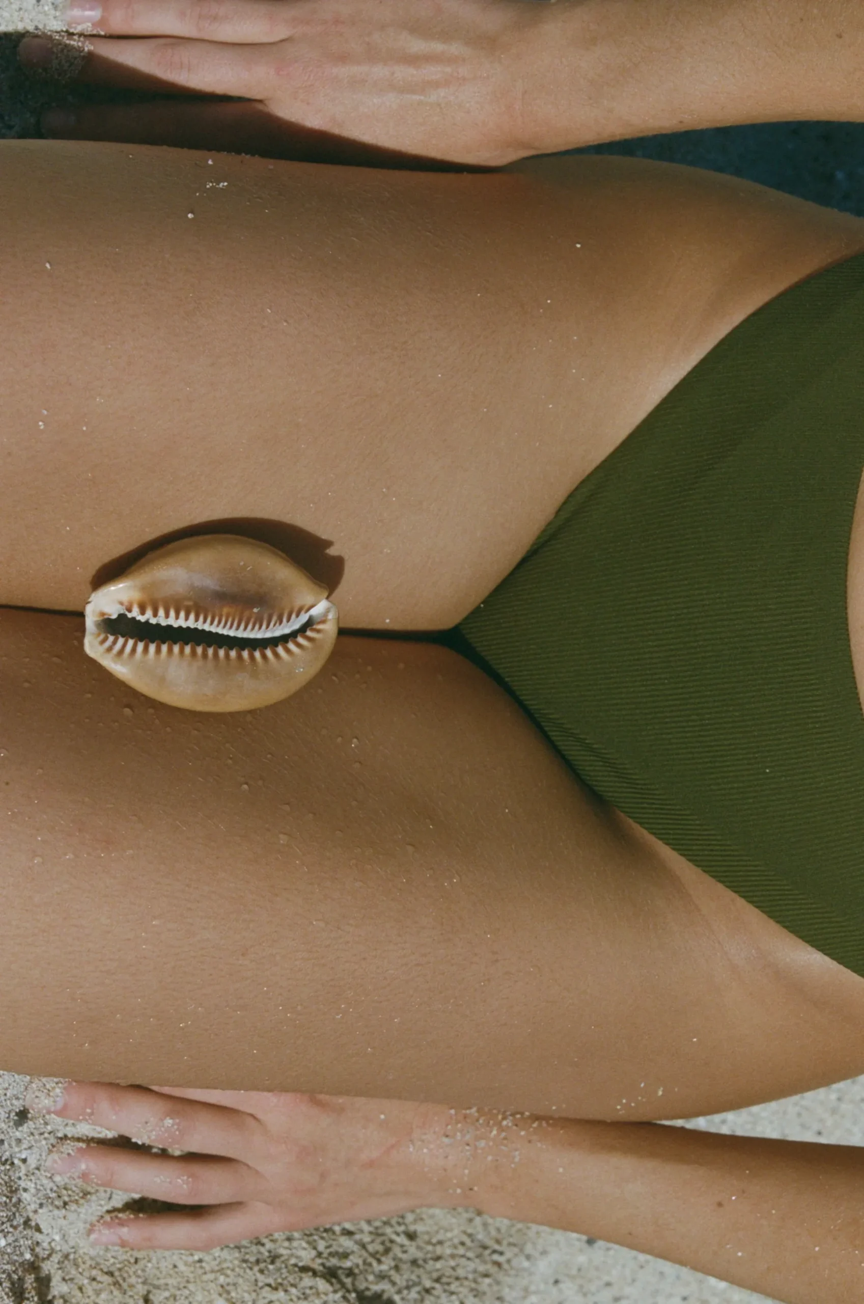 Faye Bikini Bottom - Palm Rib