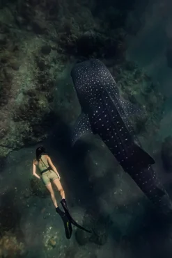 Fraser Short Jane – Aloe 2mm