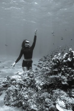 Pam Rash Guard - Black 1.5mm